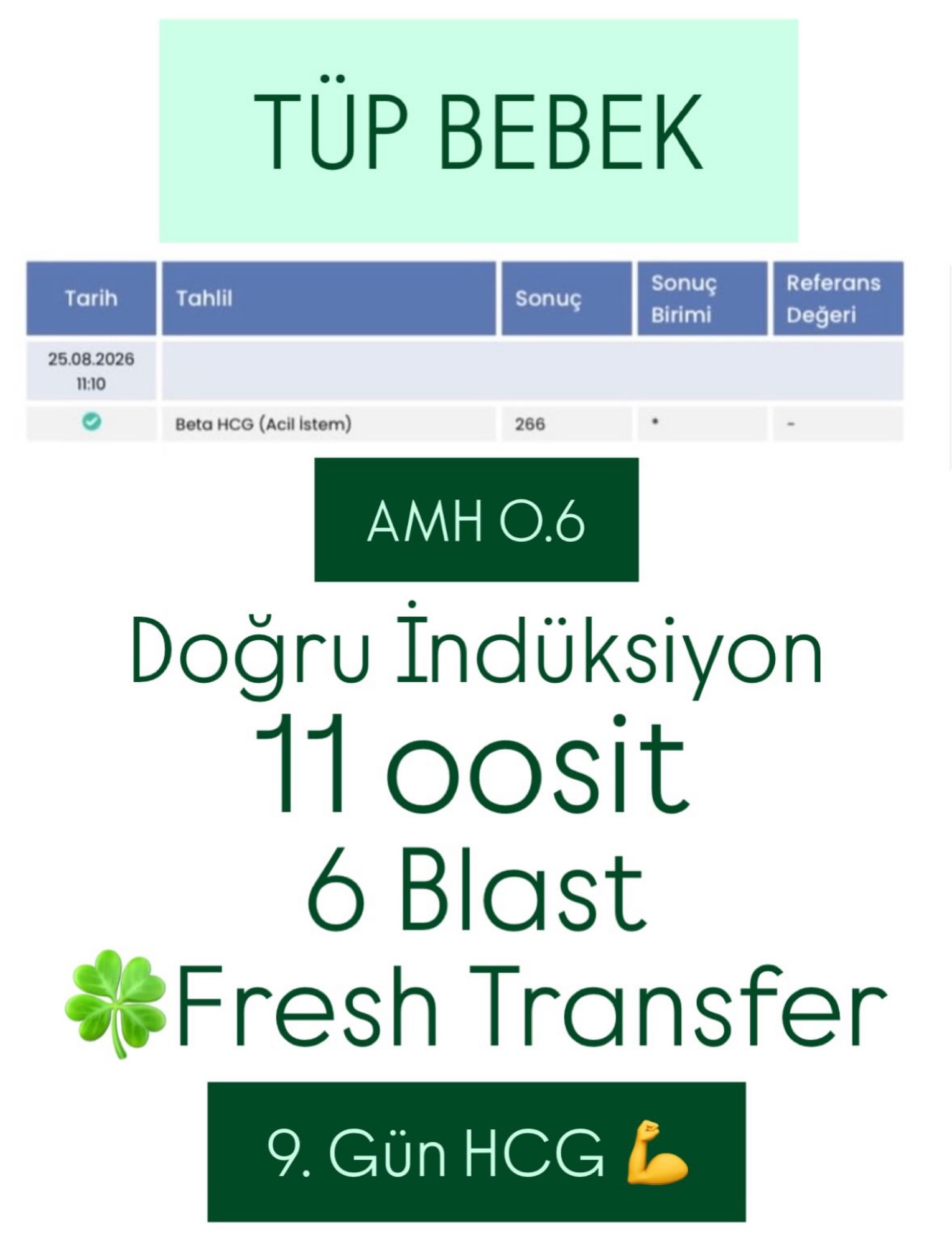 AMH 0.6, 11 oosit ve 6 blastosist sonucunu anlatan tüp bebek infografiği